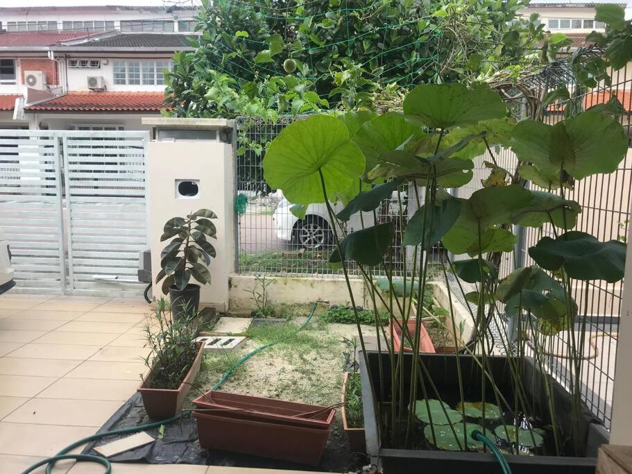 Terrace House Near Stulang Laut Ciq Midvalley Ksl For 7Pax Johor Bahru Luaran gambar
